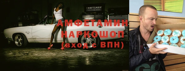 хмурый Магас