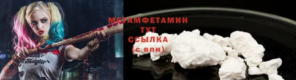 хмурый Магас