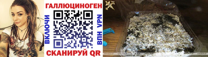 KRAKEN зеркало  Петропавловск-Камчатский  Галлюциногенные грибы прущие грибы 